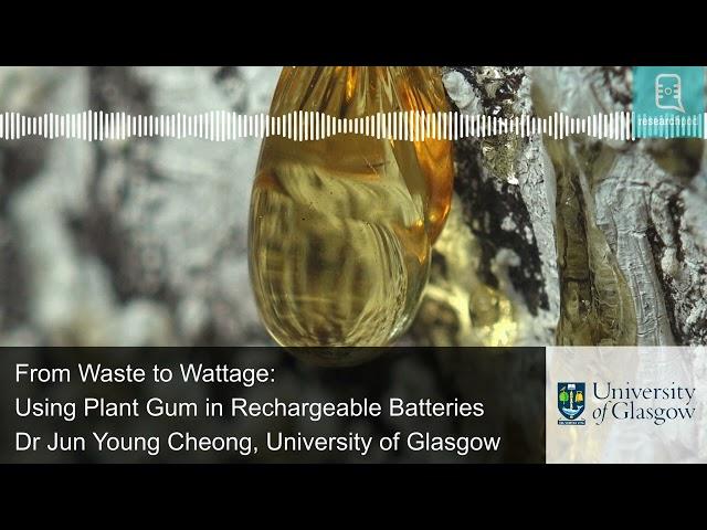 From Waste to Wattage: Using Plant Gum in Rechargeable Batteries