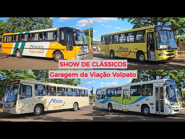 SHOW de CLÁSSICOS - Movimento de ônibus na Garagem da Viação Volpato