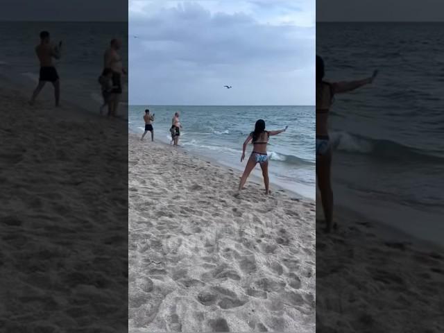 Shark filmed swimming next to people near shoreline in Florida