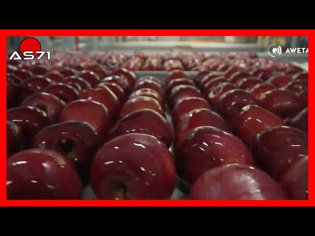 007► How is the food we eat every day produced? Amazing food machines  #AS71Channel