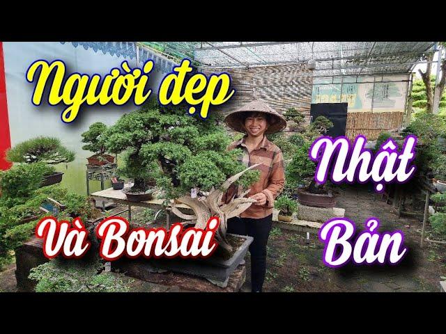 SH.9236. Sự lựa chọn của người phụ nữ đam mê với dàn bonsai NHẬT BẢN. Đth liên hệ 03.999.03.128