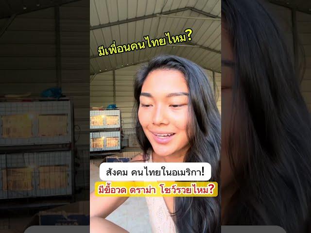 สังคมคนไทยในอเมริกา ส่วนตัวเจอแบบไหน? ดร่ามาใส่กันมีไหม เมียฝรั่งไดอารี่