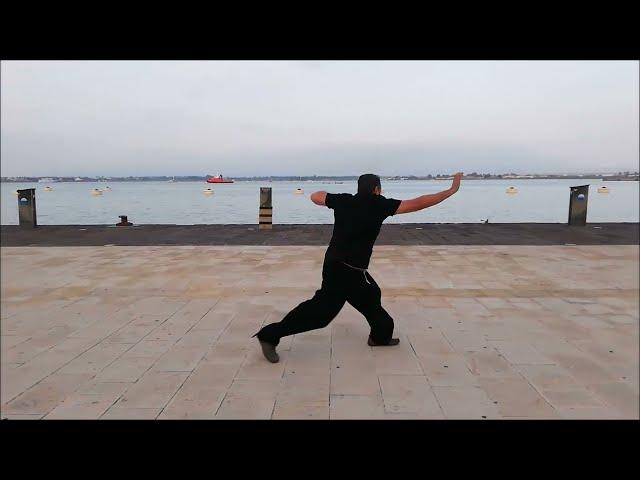 movimento marziale  #kungfu