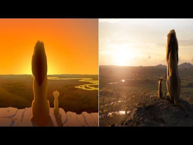 The Lion King (1994/2019) Everything the light touches