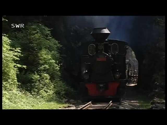 Waldbahnidylle in Transsilvanien/ Rumänien - Eisenbahn-Romantik