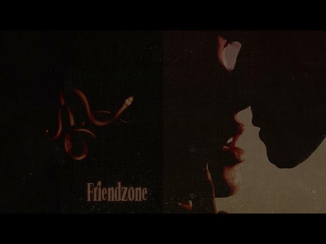 Niels - Friendzone