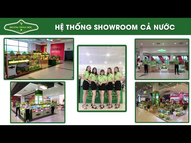 GIỚI THIỆU SƠ LƯỢC VỀ HOÀNG THẢO MỘC