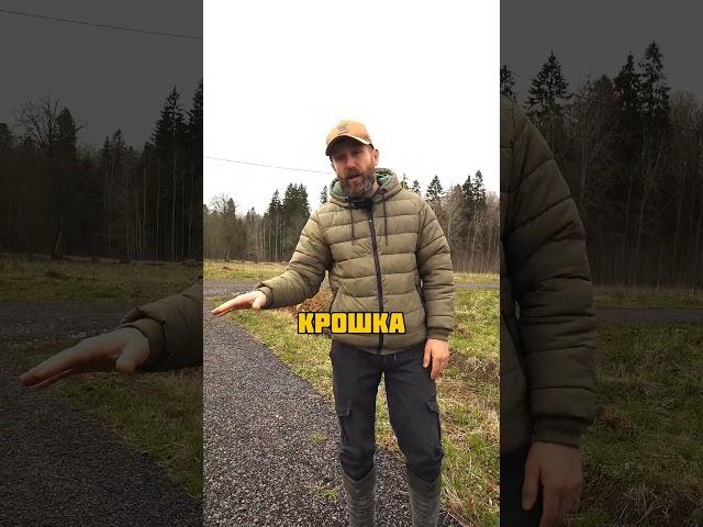 Выбор участка - не просто. Мы знаем , где искать! #участок #загородныйдом #строительство