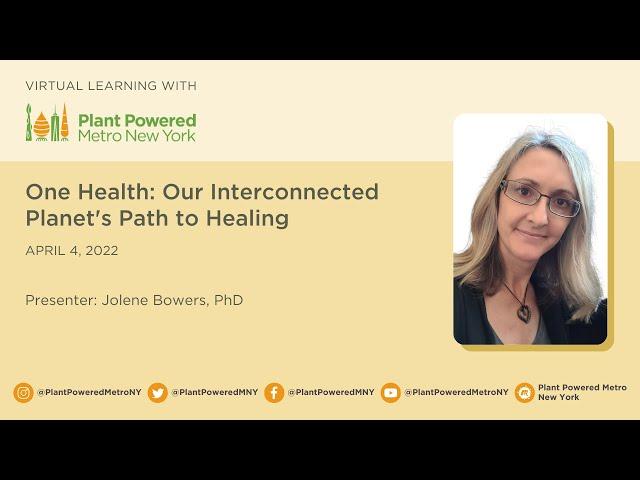 One Health: Our Interconnected Planet's Path to Healing