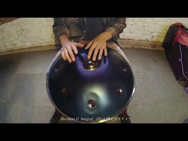 Meridian Handpan - D Integral