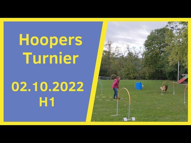 Hoopers Turnier in Herrenberg am 02.10.2022 I H1 Parcours mit 3 Läufen I Hoopers Agility I NADAC