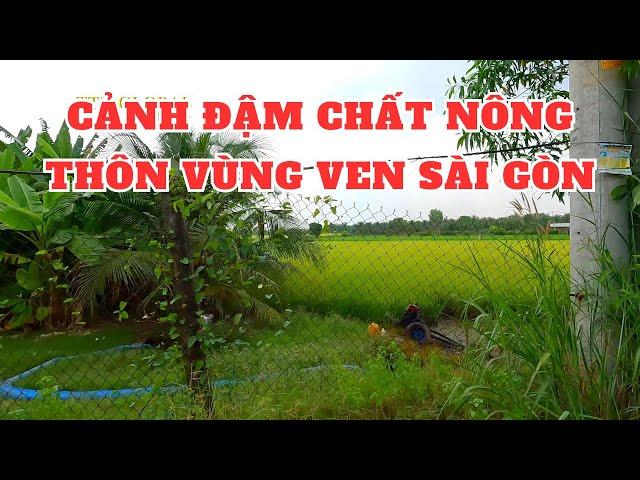 Khám phá xã Tân Nhựt Huyện Bình Chánh TP.HCM