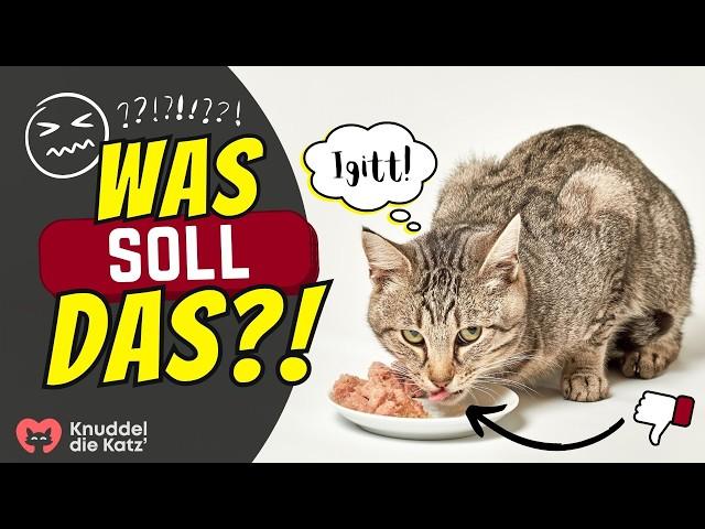 Warum wollen Katzen so oft plötzlich ihr Futter nicht mehr?