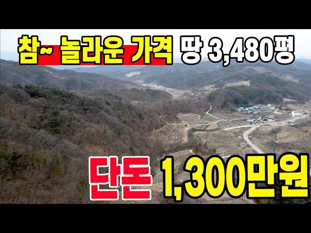 도로 접한 땅 3,480평이 몽땅 1300만원 맞습니다. 싸고 좋은 땅 찾는 분만 영상 보시고 판단하세요!