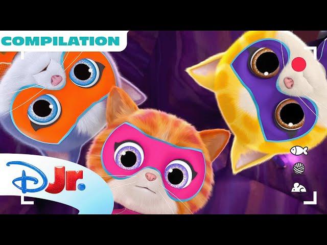 SuperKitties Su-Purr Adventures Shorts  | Compilation | 20 Minutes | @disneyjr