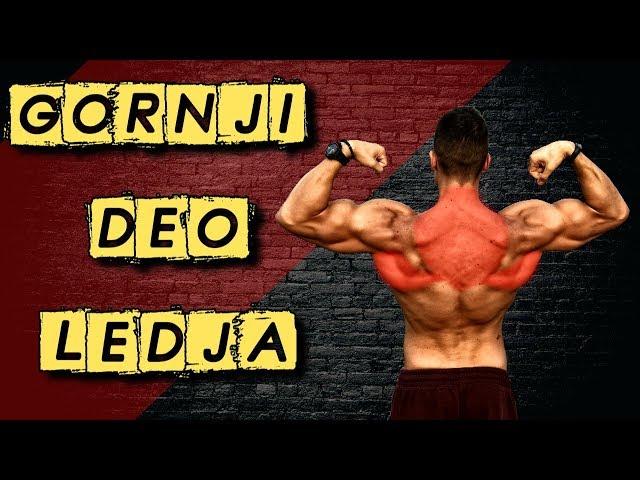 KAKO TRENIRATI GORNJI DEO LEDJA I IZGRADITI COBRA BACK