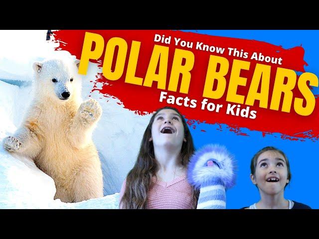 Polar Bears For Kids | Facts About Polar Bears