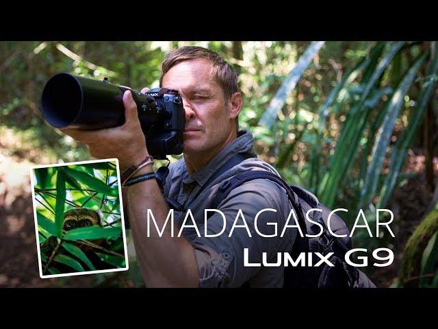 Lumix G9 in Madagascar with conservation photographer Joakim Odelberg