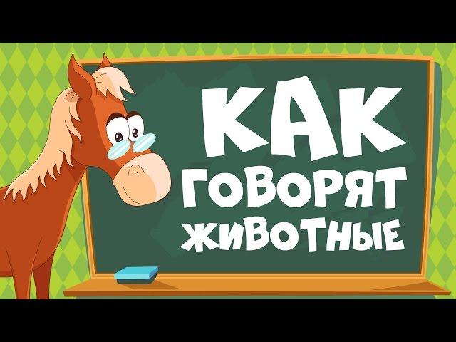 КАК ГОВОРЯТ ЖИВОТНЫЕ? Звуки животных для детей || Учим животных для самых маленьких