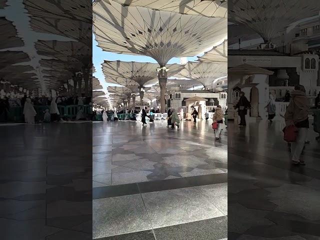 ساحة المسجد النبوي #shorts