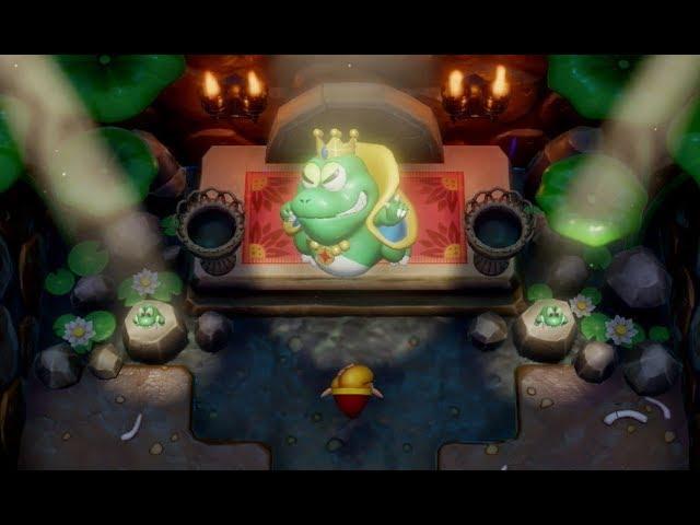 The Legend of Zelda: Link's Awakening (Nintendo Switch) Playthrough Part 6