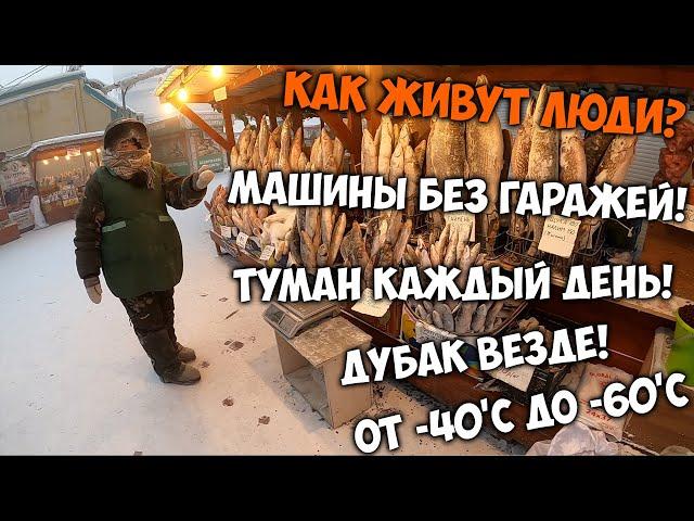 Как живут люди в самом холодном городе на планете!