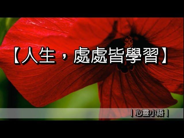 人生，處處皆學習｜心靈小語｜