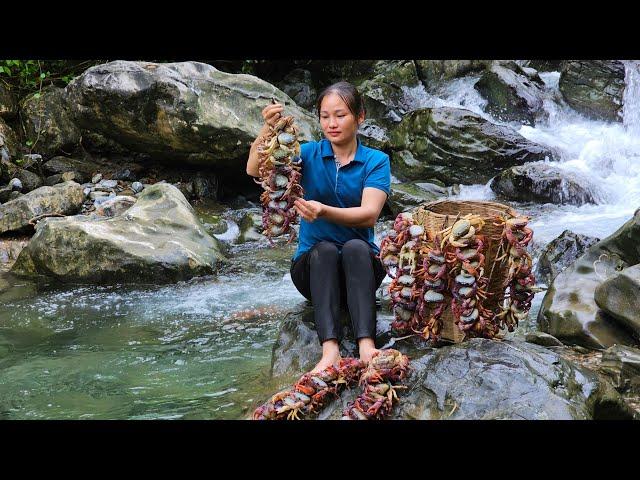 Harvesting Crabs Go To The Market sell - Prepare Dishes From Crabs | Lý Phúc An