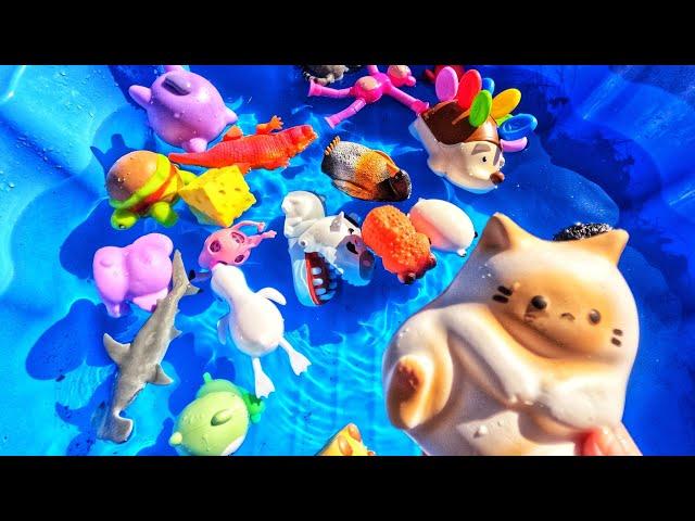 Fun with Kids Animal Toys | Learn Animal Names: Cat Hedgehog Chameleon Capybara