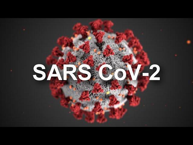 Covid-19 (SARS CoV 2) for Sonographers