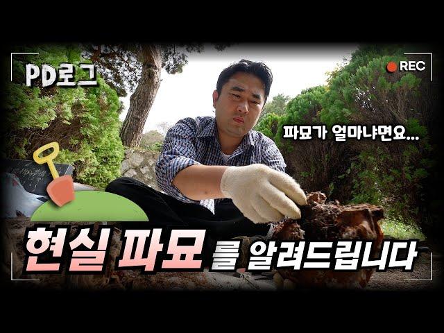 파묘는 얼마?? 현실의 파묘 알려드립니다 / 파묘요~ 염장이가 된 이PD  1/2