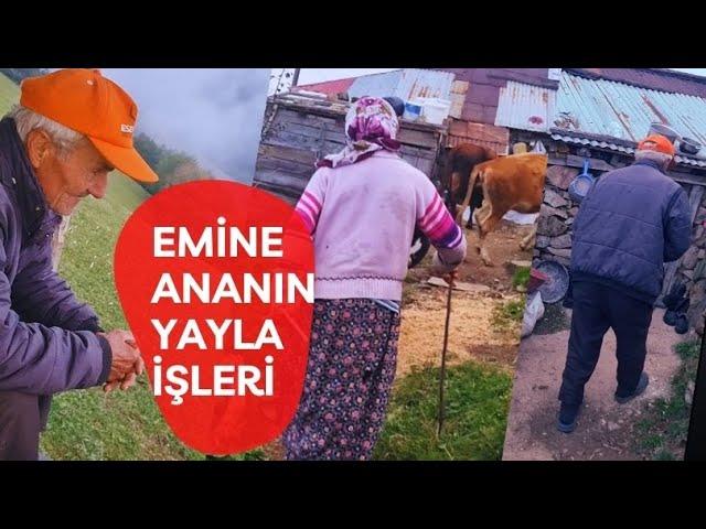 Emine annenin yayla evinde ki o yaşamı ..!