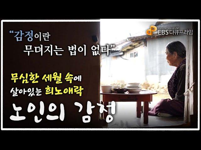 "감정이란 무뎌지는 법이 없다" 외롭지만 외롭다고 표현하지 못하는 100세, 무심한 세월 속에 살아있는 희노애락 '노인의 감정'ㅣ초고령 관찰 기록 '100세의 사생활'ㅣ다큐프라임