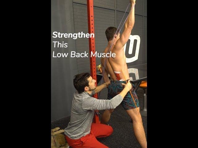 Strengthen This Low Back Muscle to Alleviate Pain - QL Exercise -MoveU