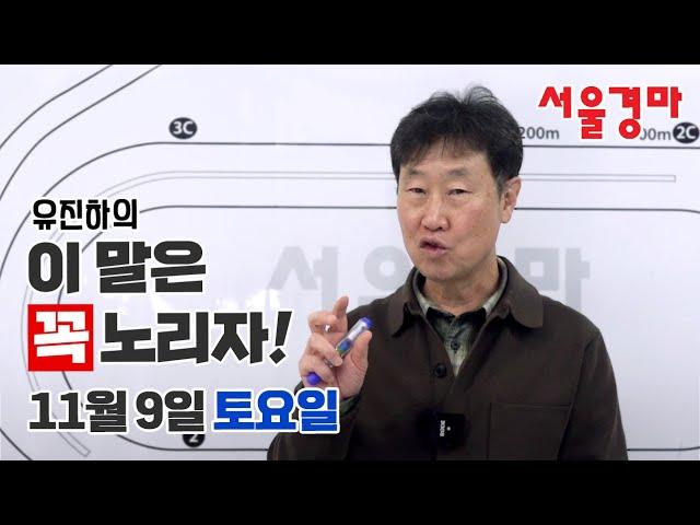 유진하의 이 말은 꼭 노리자!(2024년 11월 9일 토요일)