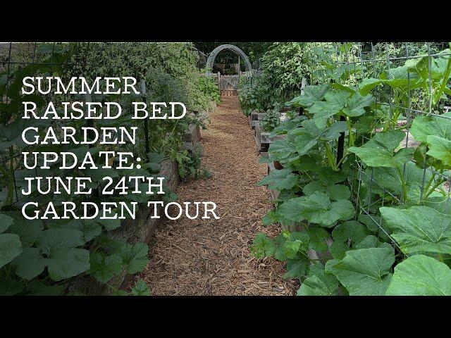 June 24th Garden Tour: Summer Raised Beds Update