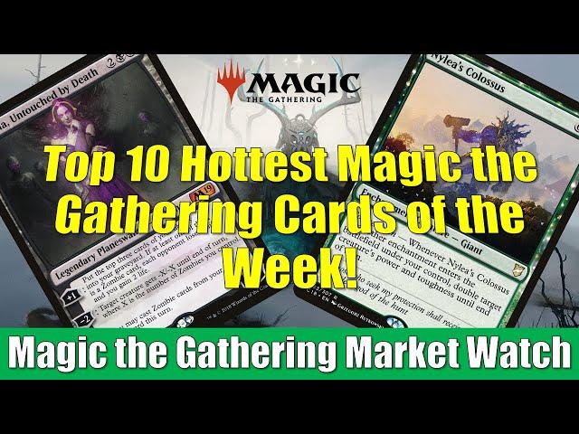 MTG Market Watch Top 10 Hottest Cards of the Week: Faceless Haven and More