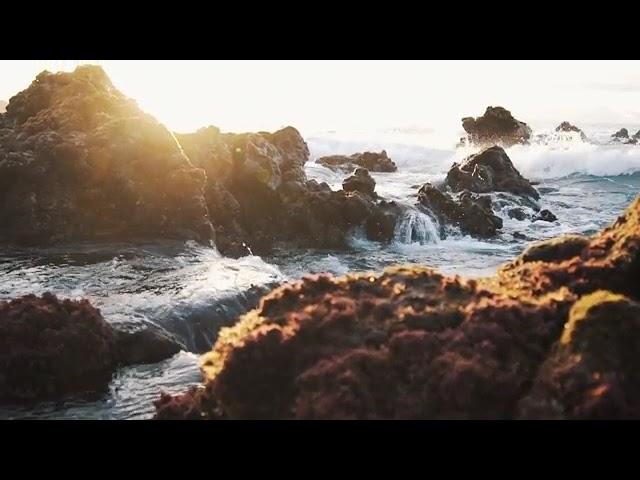Relaxing Music for Sleep, Meditation No Copyright ｜ Mood Videos