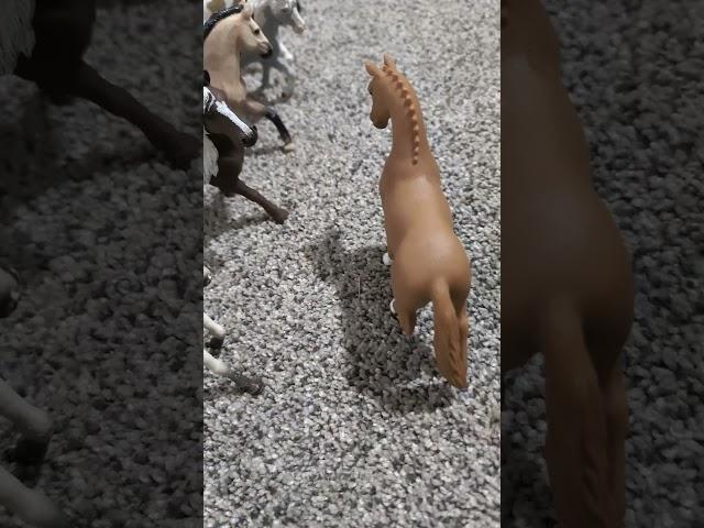 First stop motion