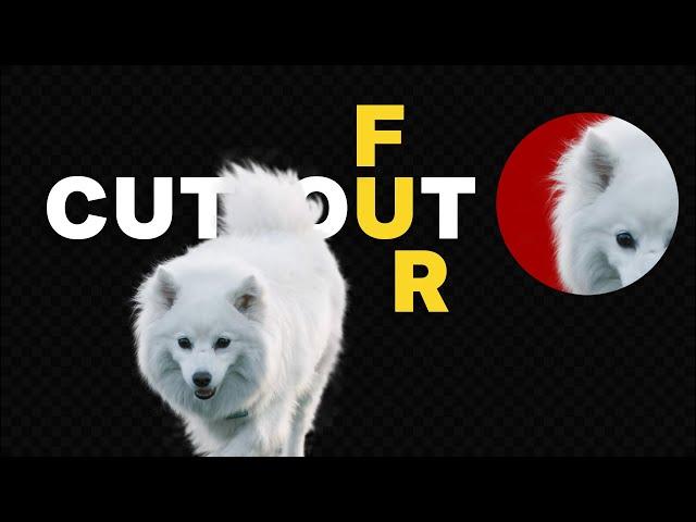 How to Select Animal FUR in Photoshop - Photoshop 2024 Tutorial