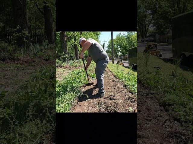 OVERGROWN SIDEWALK CLEANUP #lawncare #overgrownsidewalk #cleanup