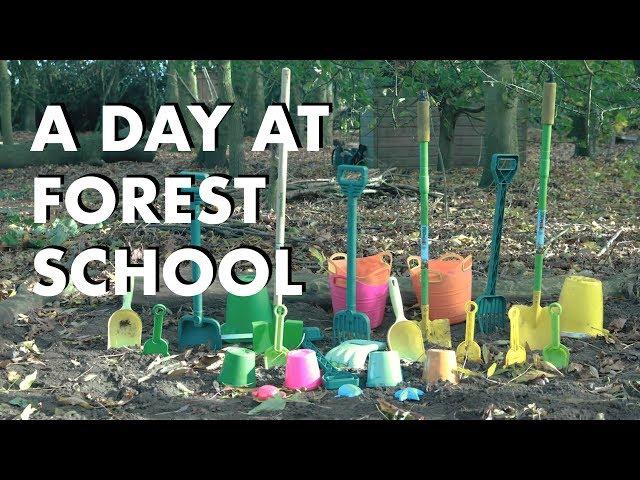 A Day at Forest School