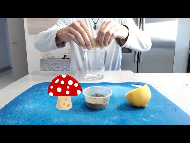 What is the lemon tek method and how to do it (Shrooms)