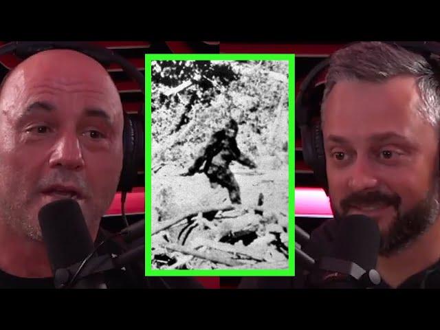 Joe Talks About Bigfoot and UFO's