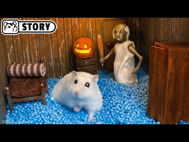 Homura Ham's Hamsters vs Granny in the Haunted House for Halloween