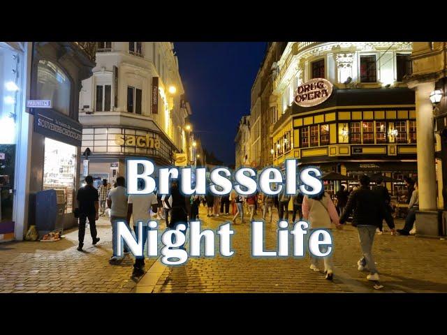 Brussels Nightlife Walking Tour, A City Center Extravaganza