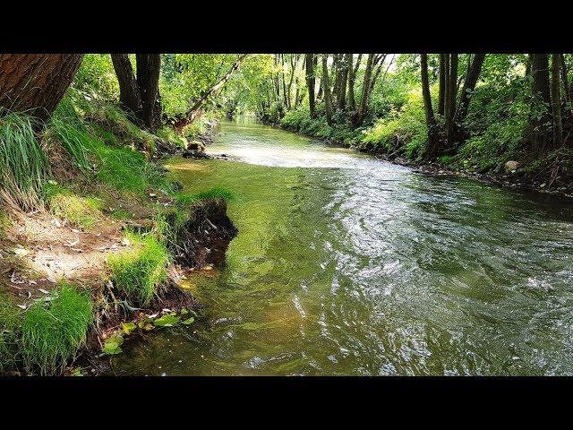 Poland is beautiful - Rudawa River in Cracow