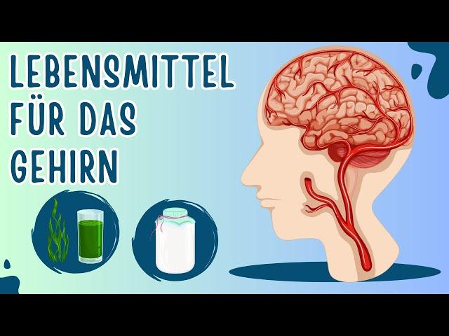 7 Lebensmittel, die gut für das Gehirn sind