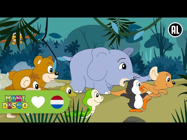 DE DIEREN UIT DE DIERENTUIN | Kinderliedjes | Minidisco