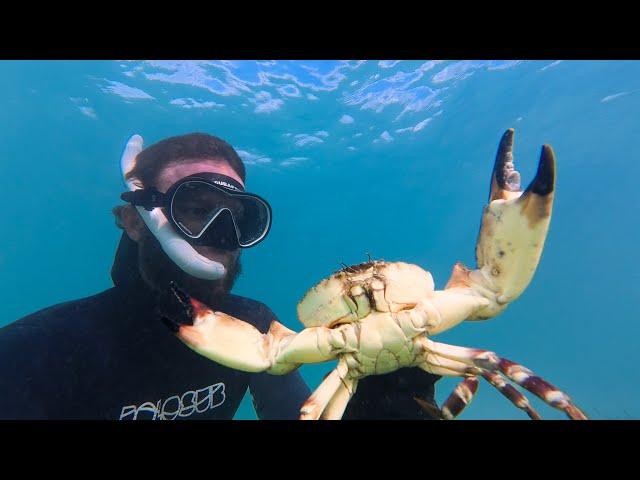 Catching Stone Crab By Hand - Catch & Cook